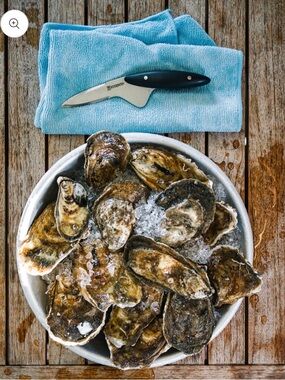 Waterman Oyster Knife